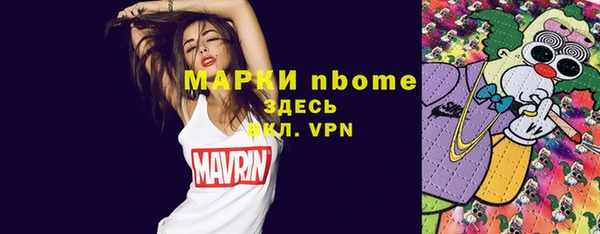 индика Горнозаводск