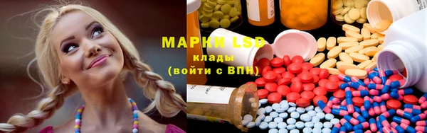 индика Горнозаводск