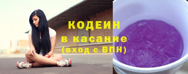 индика Горнозаводск