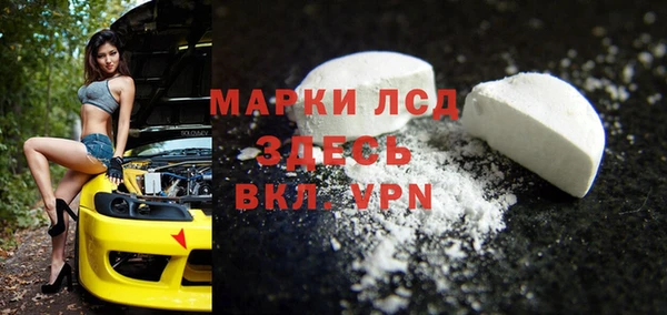 индика Горнозаводск