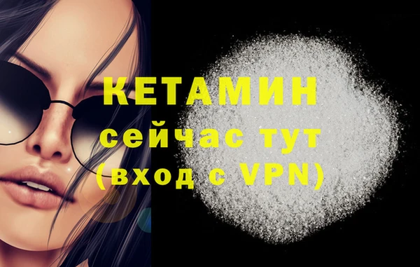 индика Горнозаводск