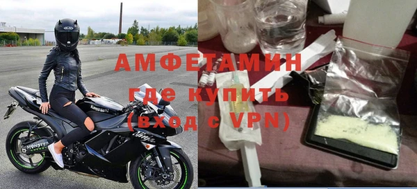 индика Горнозаводск