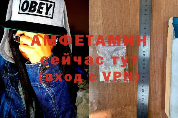 индика Горнозаводск
