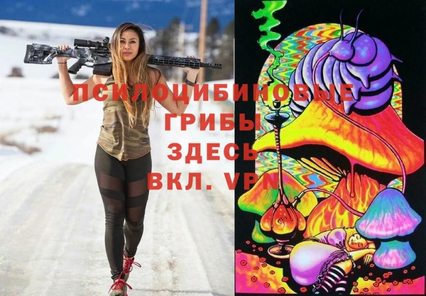 индика Горнозаводск