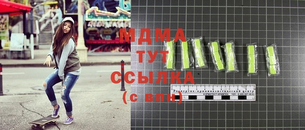 индика Горнозаводск
