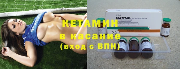 индика Горнозаводск