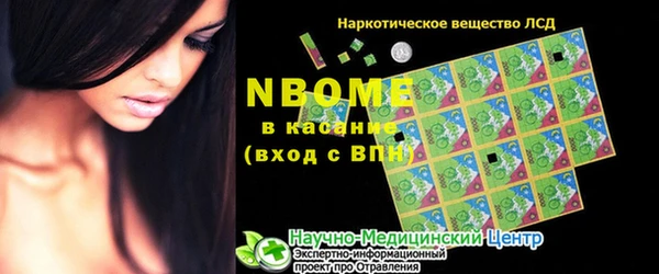 индика Горнозаводск