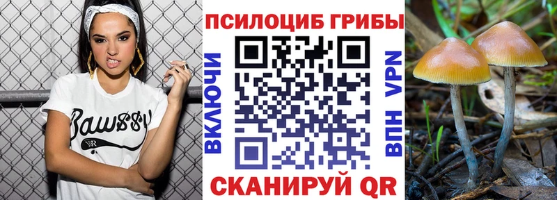 Купить  Кирс  Галлюциногенные грибы мицелий 