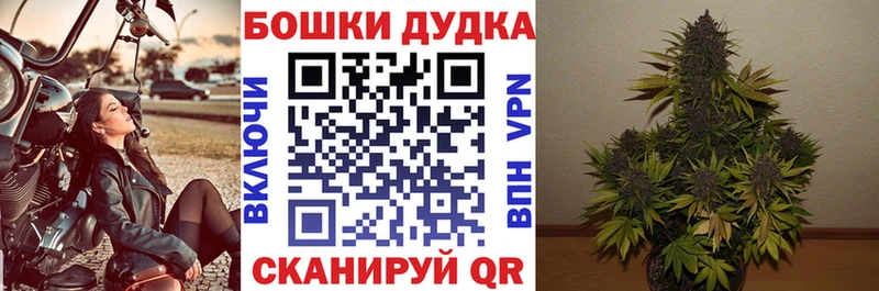 Канабис план Кирс